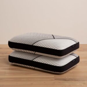 Beautyrest-Pillow