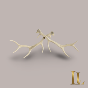 Faux Antler Wall Art